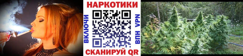 Галлюциногенные грибы Тында