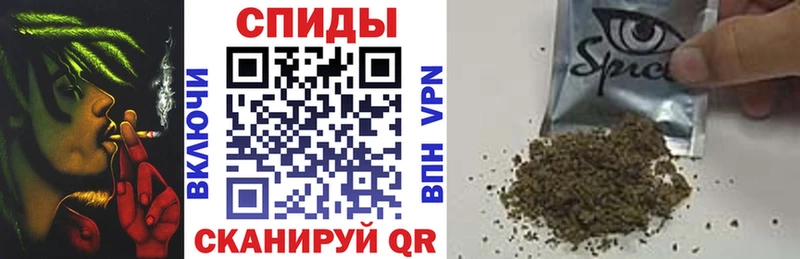 Купить закладки  Тында  Бутират бутандиол 