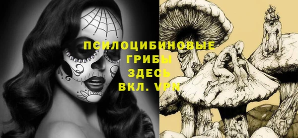 круглые Ельня