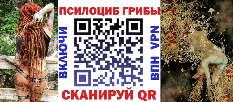 Псилоцибиновые грибы Psilocybine cubensis  Купить где  Тында 